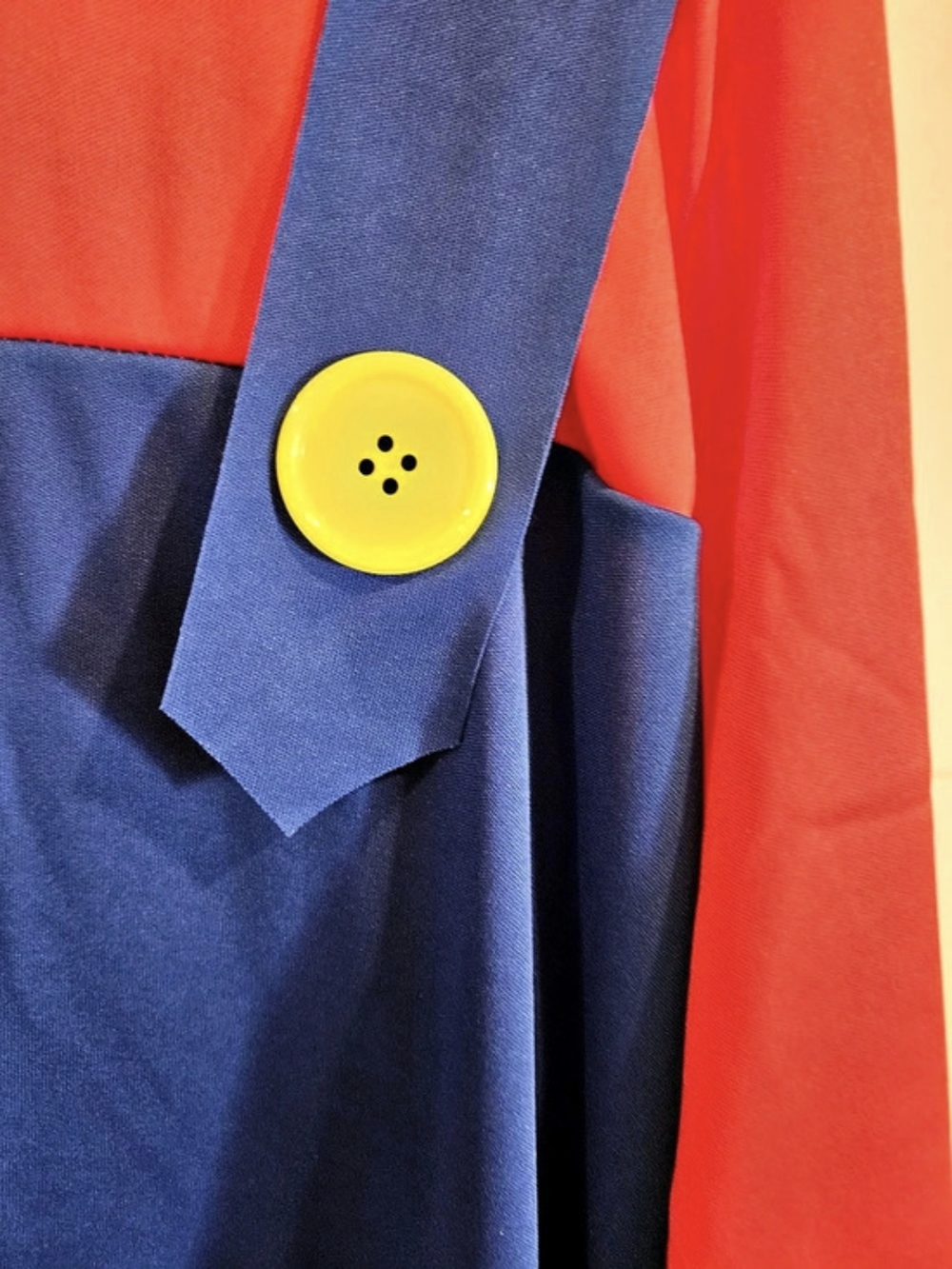 Red & Blue New Mario Costume.
